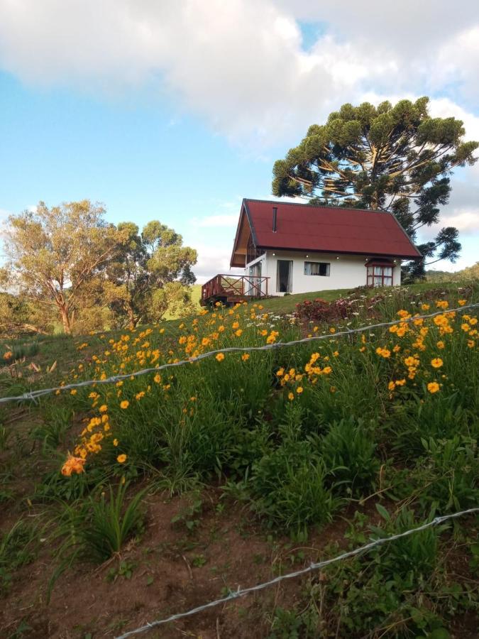 Chale Com Vidros E Hidromassagem Villa São Bento do Sapucaí Exteriör bild