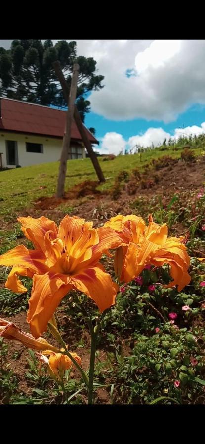 Chale Com Vidros E Hidromassagem Villa São Bento do Sapucaí Exteriör bild